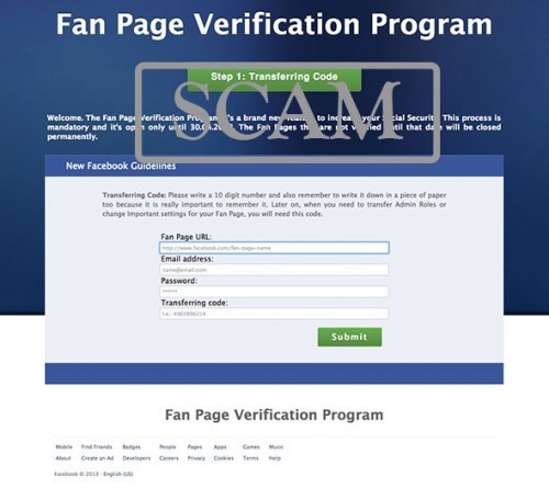 FanPageVerificationProgram1-500x445